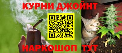 прущий лед Гай