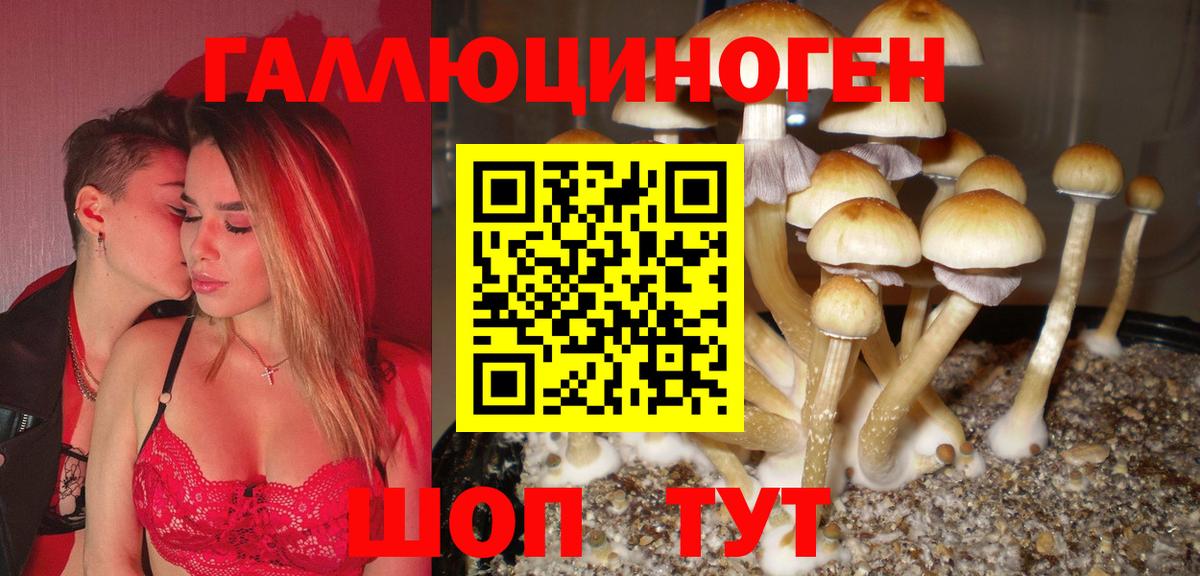 Галлюциногенные грибы Magic Shrooms  Вход с VPN  Карачаевск 